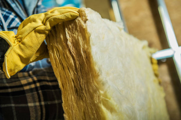 Best Cellulose Insulation in Farngton Hills, MI